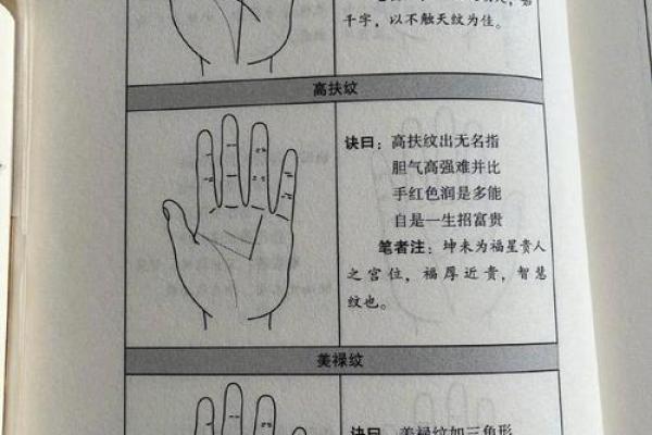 免费拍照看手相算命