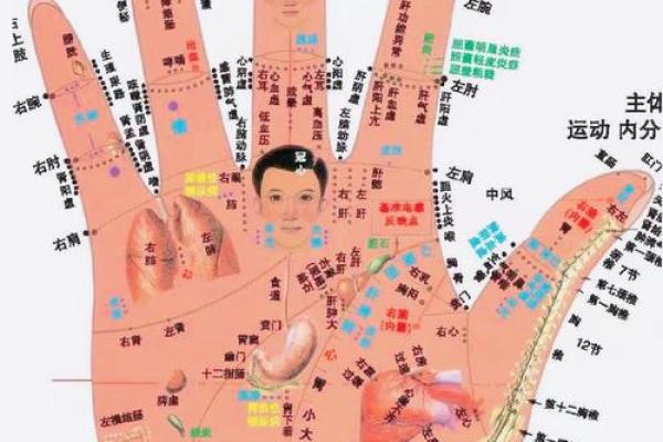 免费拍照看手相算命