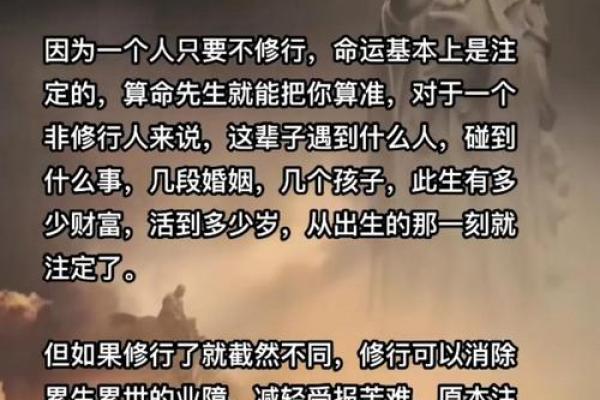 算命一生的命运