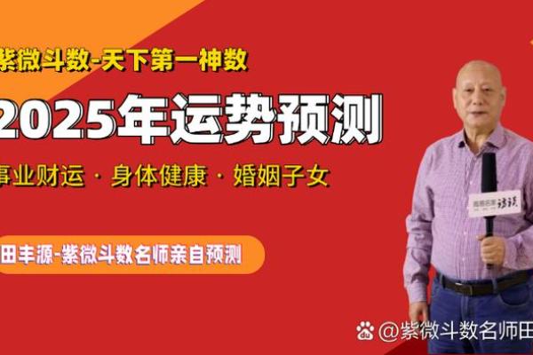 紫薇斗数怎么看未来妻子